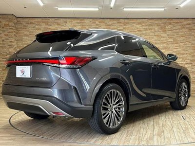 2024 Lexus RX — миниатюра 16