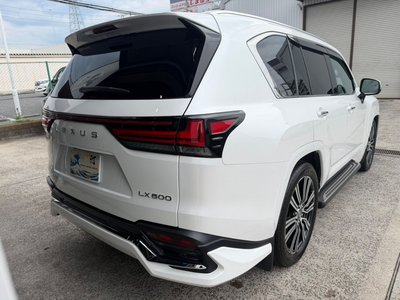 2024 Lexus LX 缩略图 19