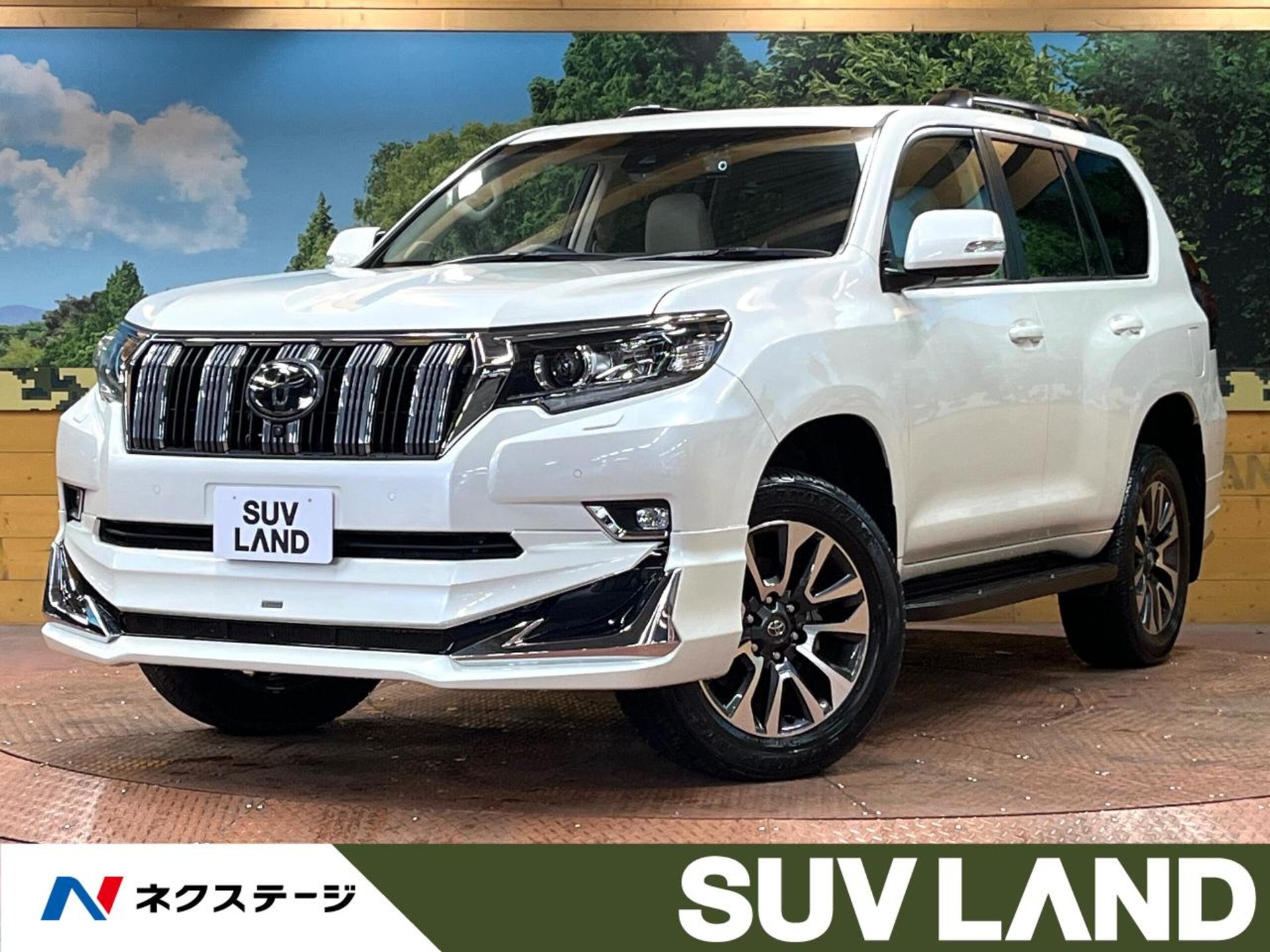 TOYOTA LAND CRUISER PRADO - View 1