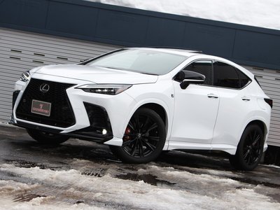 LEXUS NX - 3