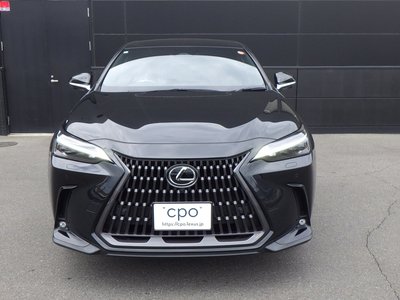 LEXUS NX - 6
