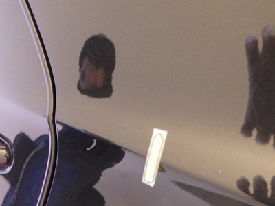 2023 Lexus NX 缩略图 22