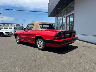 ALFA ROMEO ALFA SPIDER - 5