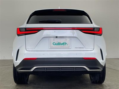 2021 Lexus NX 照片 5