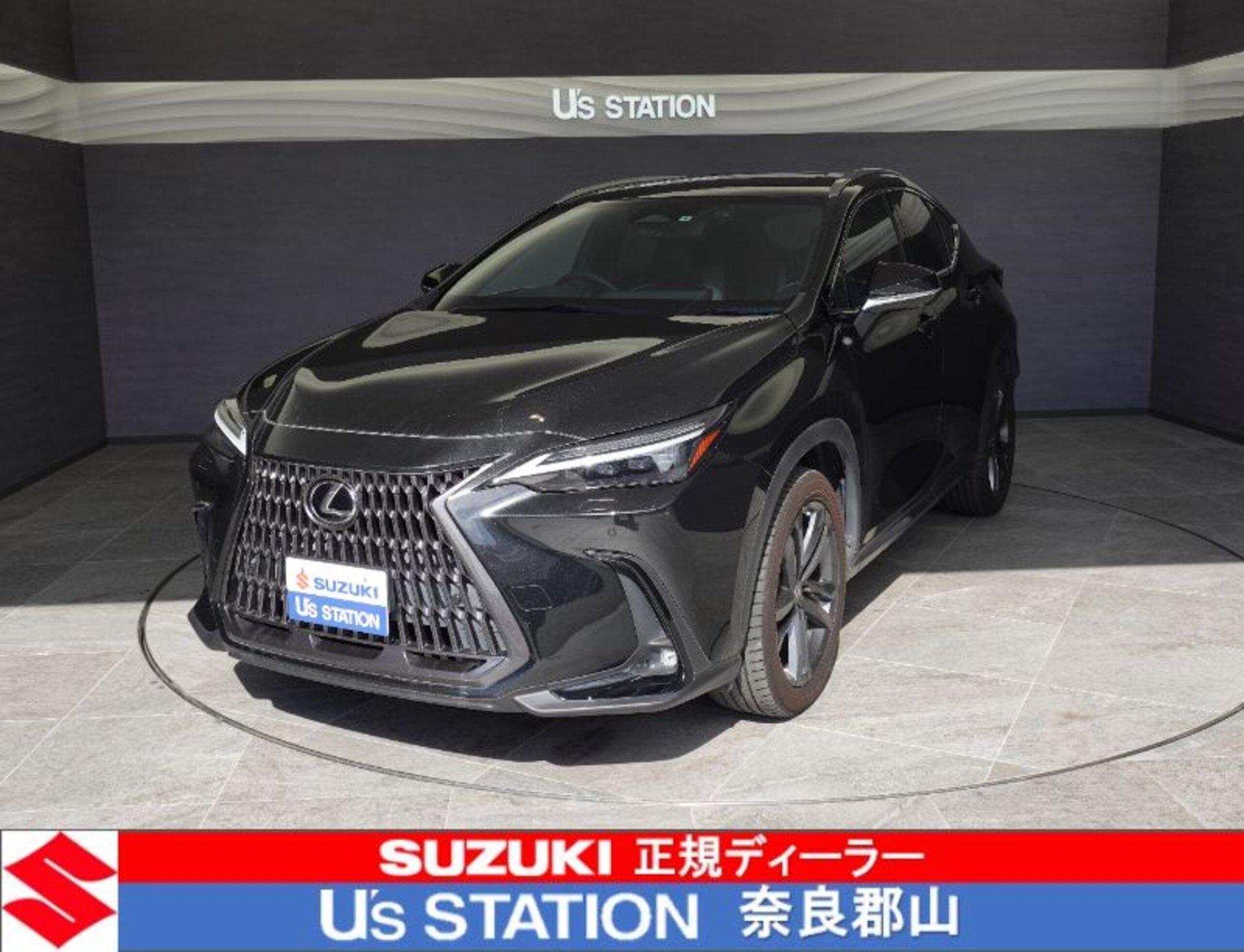 LEXUS NX - View 1