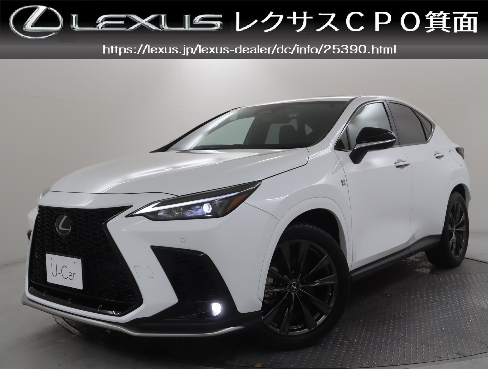 LEXUS NX - View 1