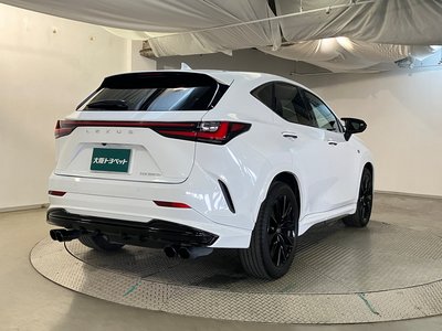 LEXUS NX - 8