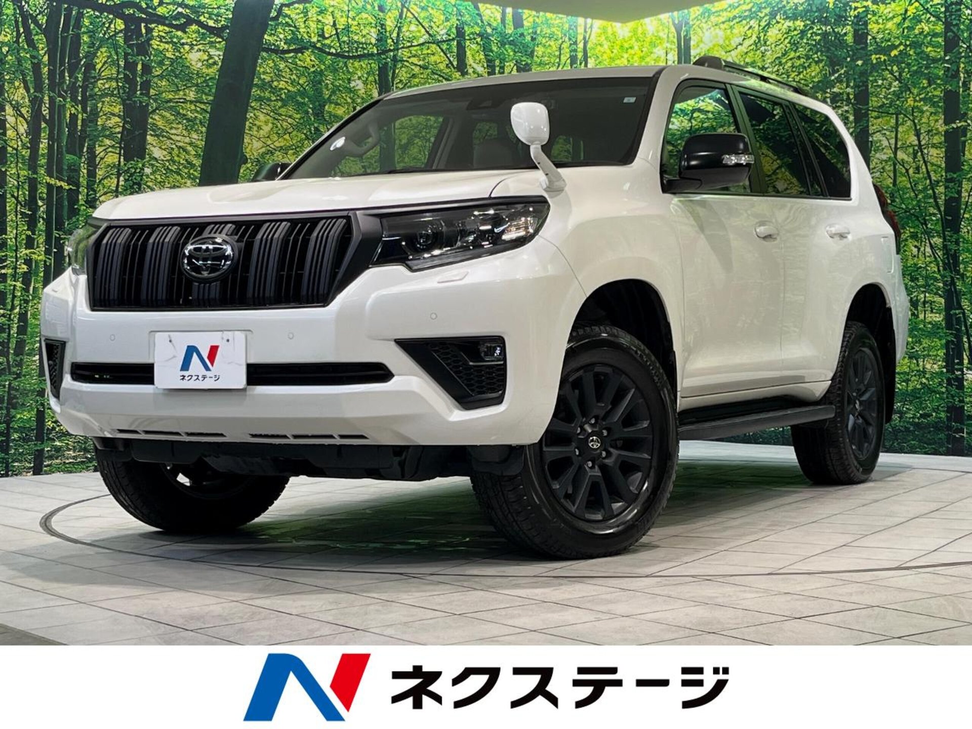 TOYOTA LAND CRUISER PRADO - View 1