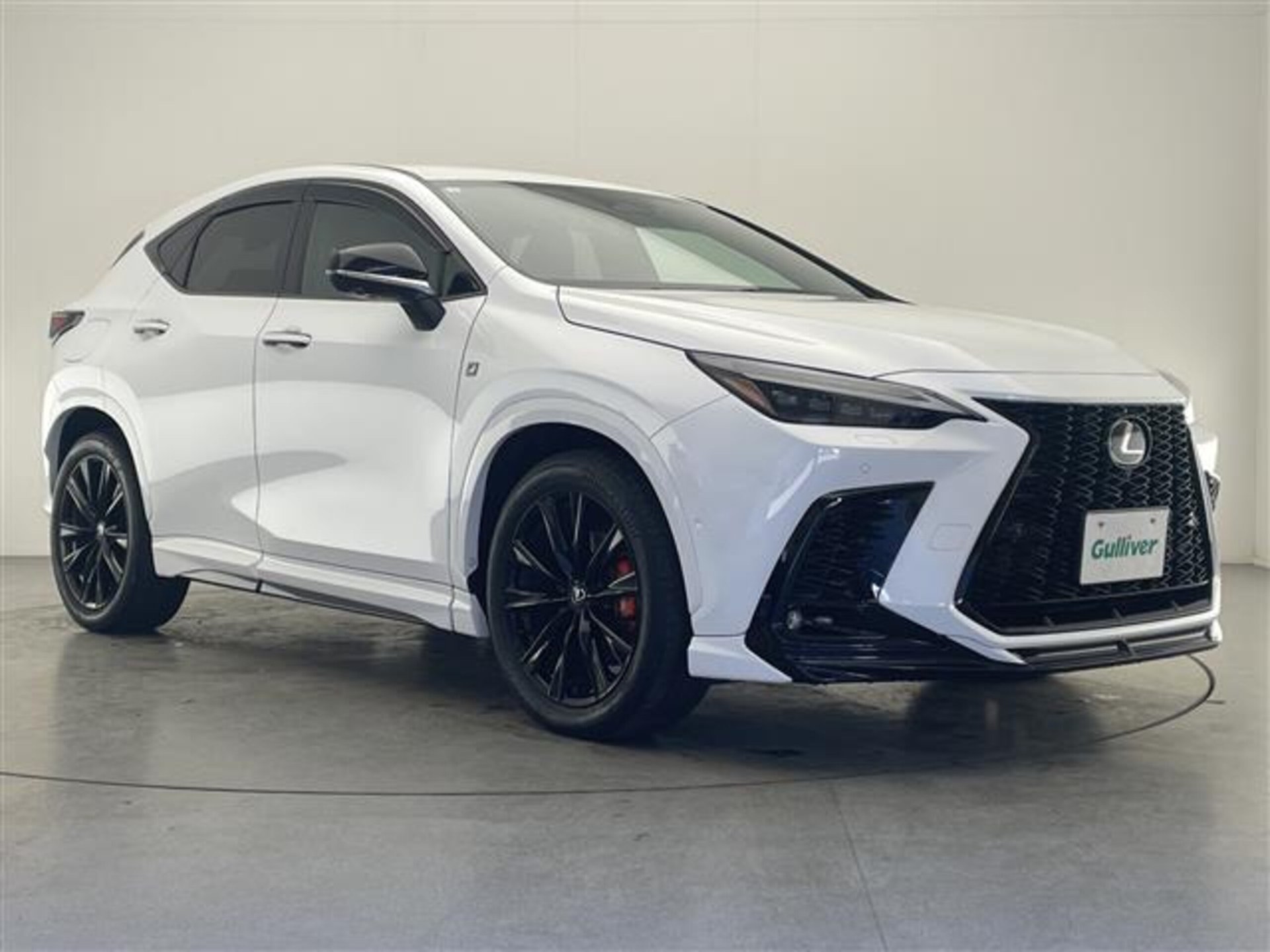 LEXUS NX - View 1