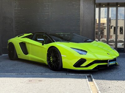 LAMBORGHINI AVENTADOR ROADSTER
