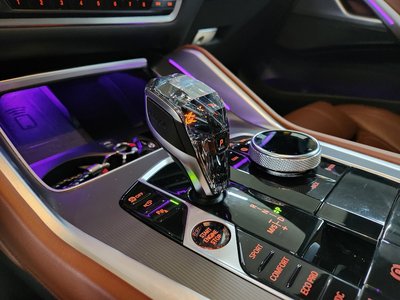 2022 BMW X6 照片 9
