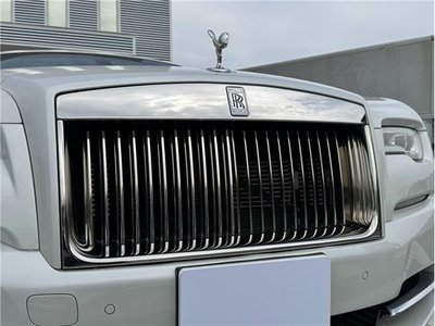 2017 ROLLS-ROYCE OTHERS 缩略图 14