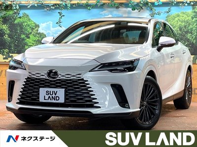 LEXUS RX - 1