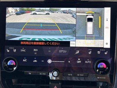 2025 TOYOTA ALPHARD photo 5