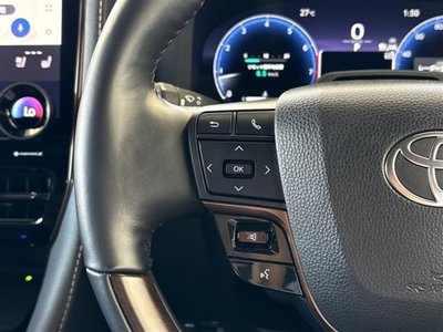 2025 TOYOTA ALPHARD photo 10