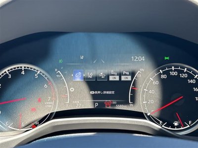 2024 Toyota LAND CRUISER 300 — миниатюра 19