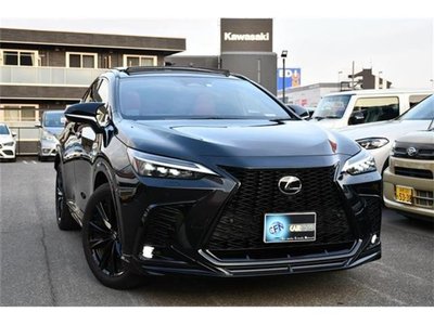 LEXUS NX - 10