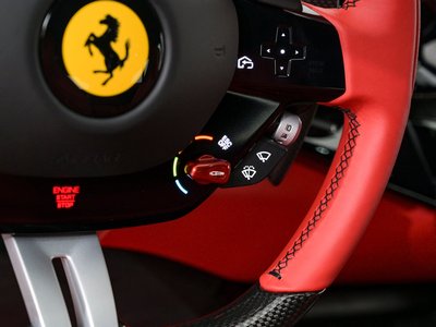 2025 Ferrari PUROSANGUE — миниатюра 24