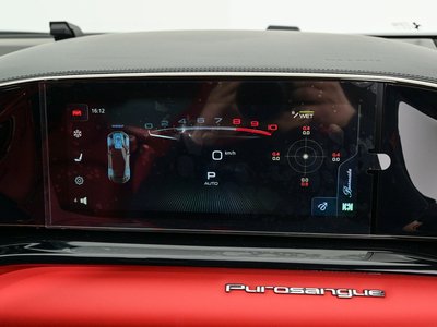 2025 Ferrari PUROSANGUE — миниатюра 32
