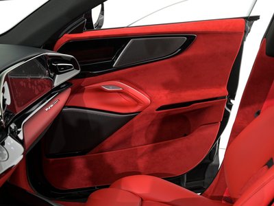 2025 Ferrari PUROSANGUE — миниатюра 33
