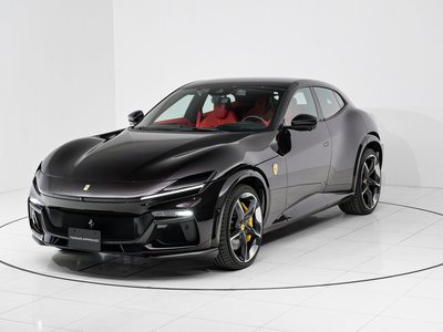 2025 Ferrari PUROSANGUE — миниатюра 13