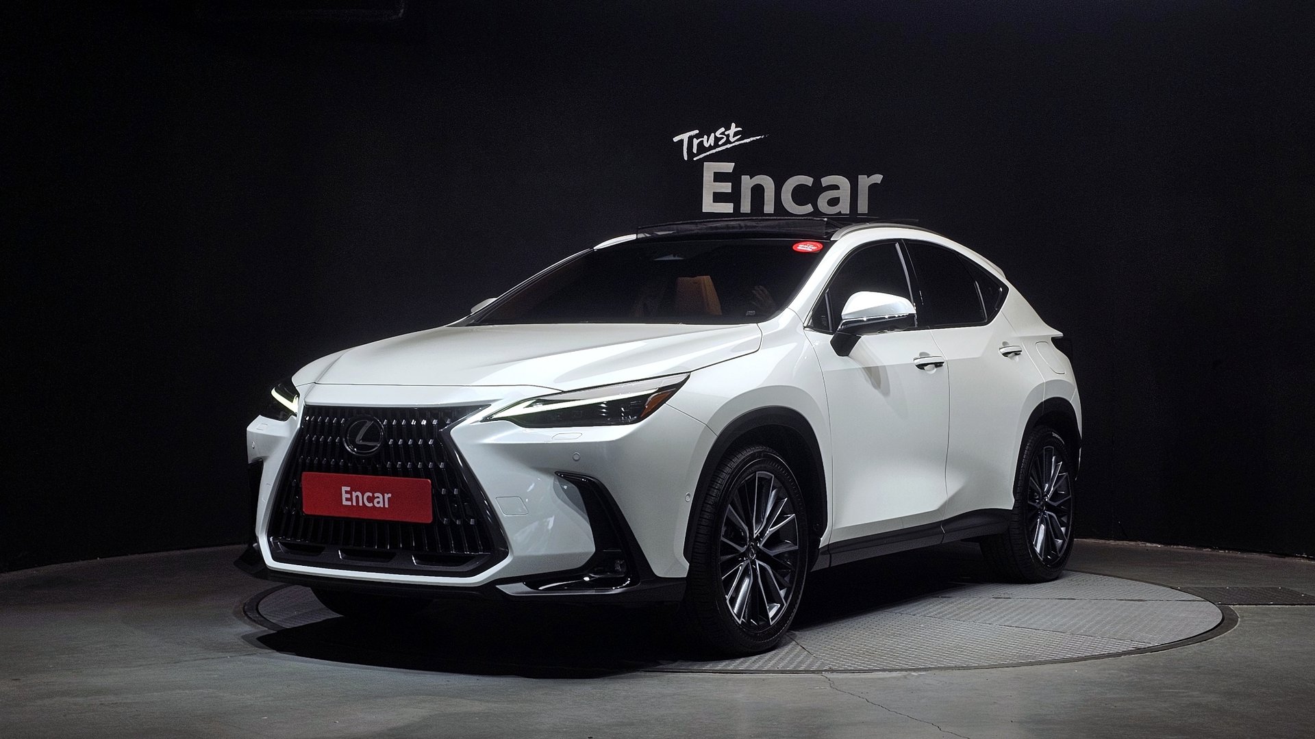LEXUS NX - View 1