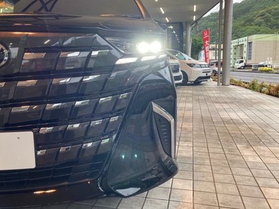 TOYOTA ALPHARD - 10