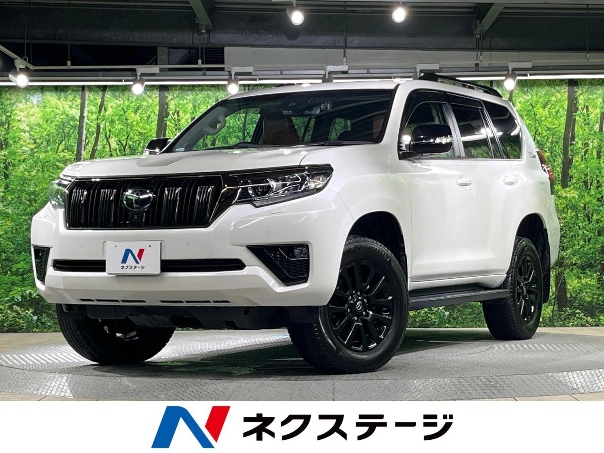 TOYOTA LAND CRUISER PRADO - View 1