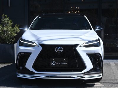 LEXUS NX - 4