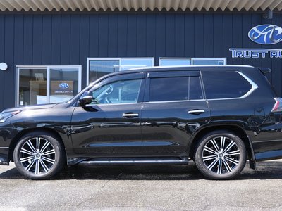 2019 Lexus LX 缩略图 14