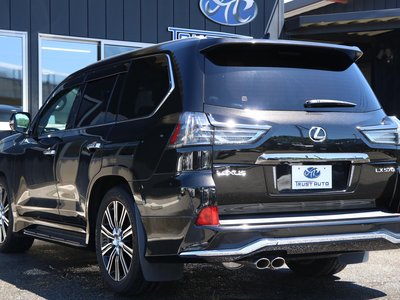2019 Lexus LX 照片 8
