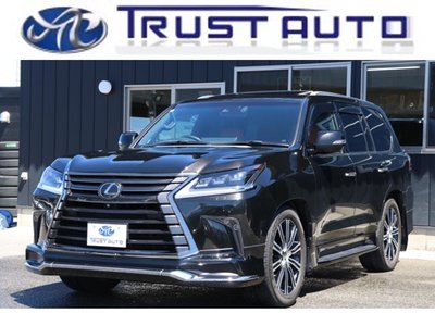 2019 Lexus LX 照片 1