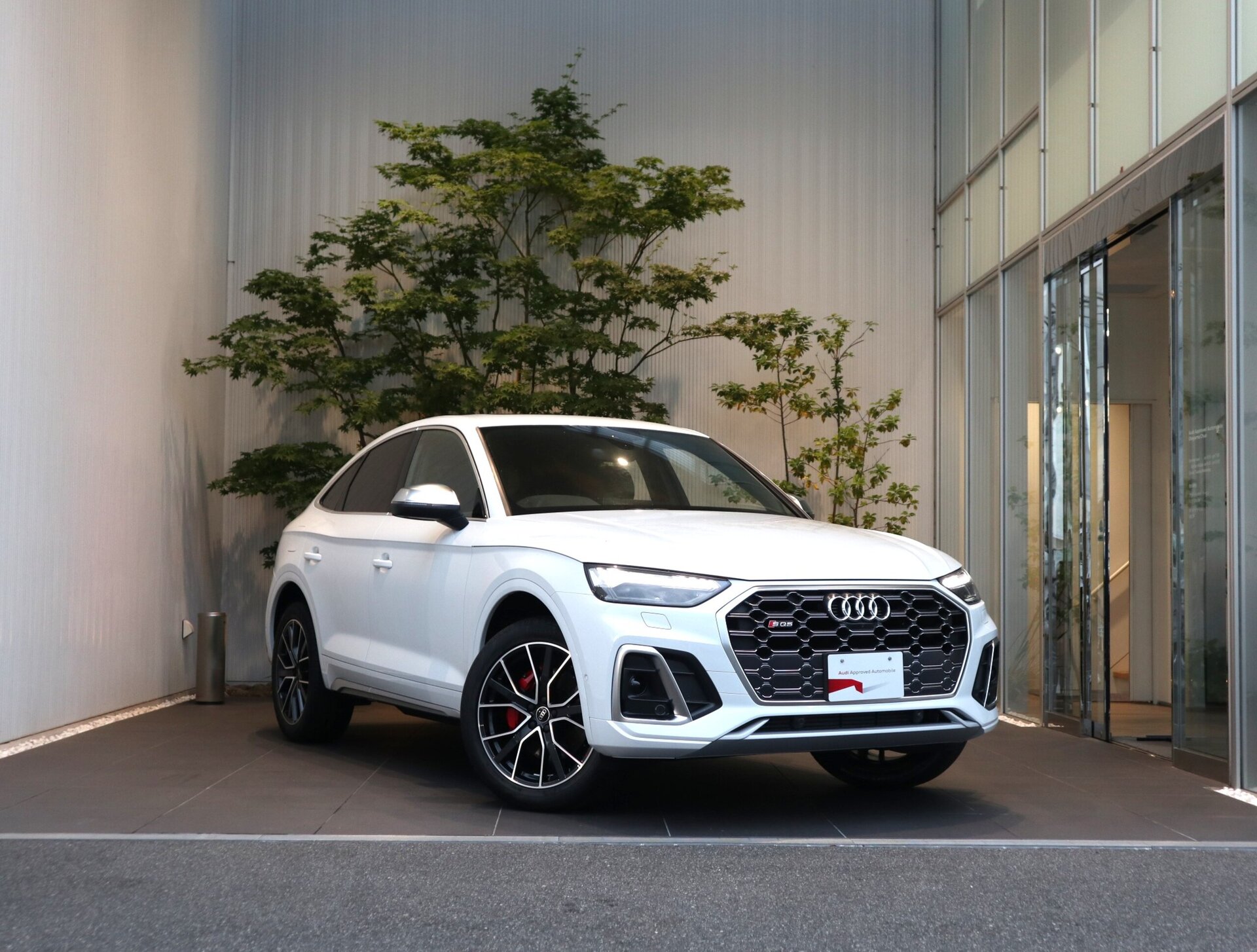 AUDI SQ5 SPORTBACK - View 1