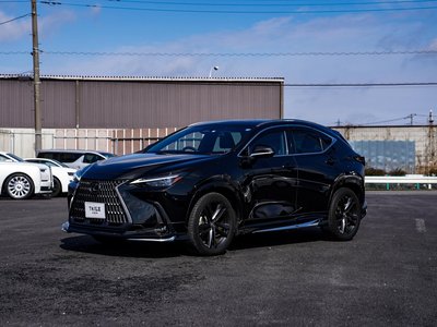 2023 Lexus NX photo 2
