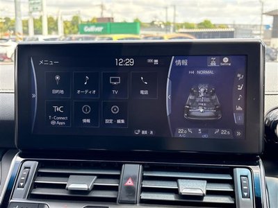 TOYOTA LAND CRUISER - 4