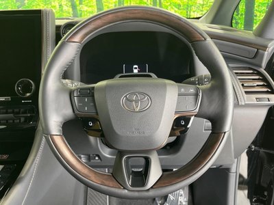2025 TOYOTA ALPHARD — миниатюра 12