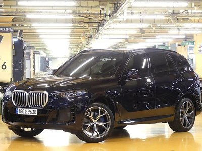 BMW X5 - 1