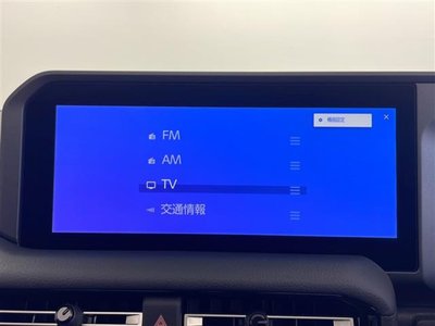 TOYOTA LAND CRUISER 250 - 3