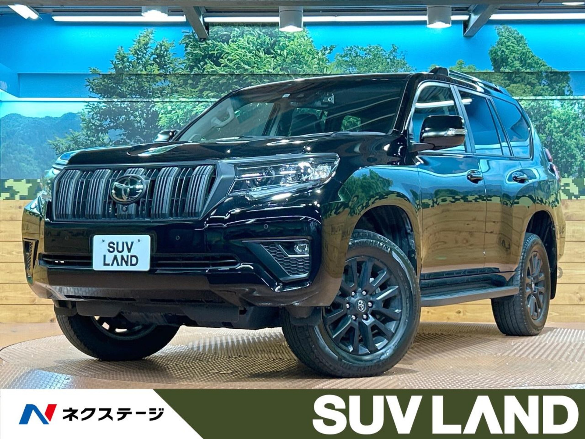 TOYOTA LAND CRUISER PRADO - View 1