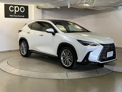 2023 Lexus NX 缩略图 13