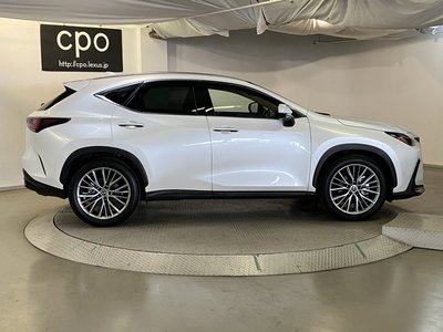 2023 Lexus NX 缩略图 12