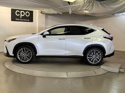 2023 Lexus NX 缩略图 11