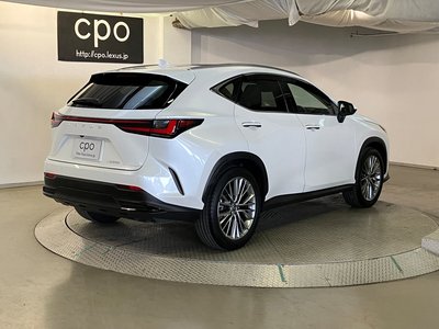 LEXUS NX - 10