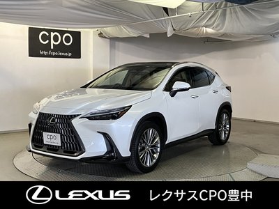 LEXUS NX - 1
