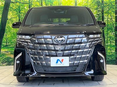 2025 Toyota ALPHARD — миниатюра 15