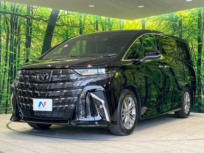 2025 Toyota ALPHARD — миниатюра 24