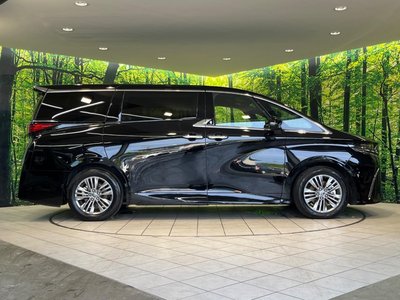 2025 Toyota ALPHARD — миниатюра 28