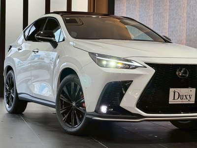 LEXUS NX - 10