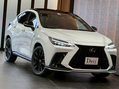 LEXUS NX - 8