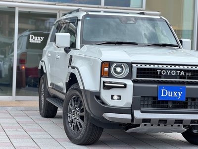 2025 Toyota LAND CRUISER 250 thumbnail 19